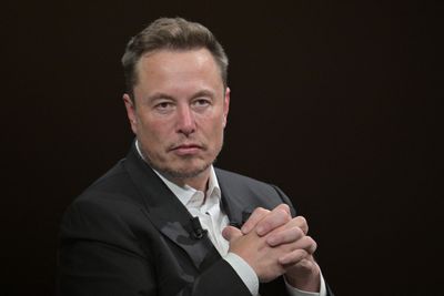 Elon Musk Warns Of 'Guppy-Level Death' For Hundreds of AI Cloud Firms. Others Are Not so Sure.
