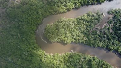 Lula's re-election brings hope for the Amazon as deforestation drops to record low