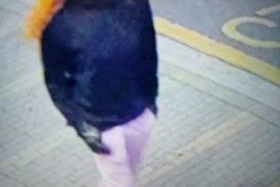 Police hunt orange wig man after fatal London pub shooting
