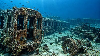Subway Cars Form Fish Reef: Virginia agency sinks 44 retired NYC trains; expand Blackfish Bank habitat