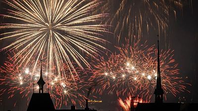 Dog scared of fireworks? Switzerland could bring in a nationwide ban if public votes yes