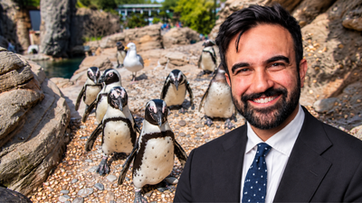 Zohran Mamdani announces $2 million for New York Aquarium renovation