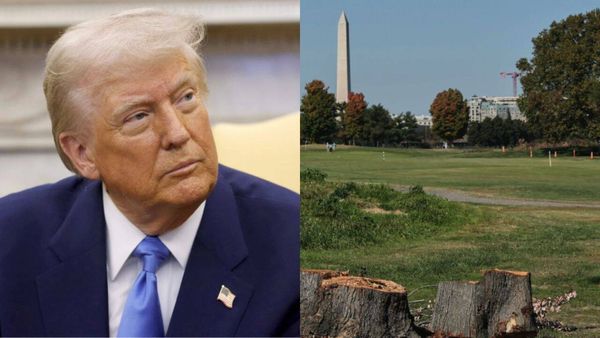Trump vows to appeal after US judge blocks further tree removal at historic Washington golf course