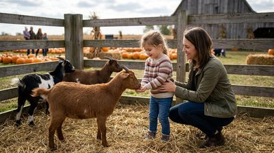 Bengtson's Petting Zoo Closed as Will County Investigates Possible Link to Five E. coli Cases Among Farm Visitors