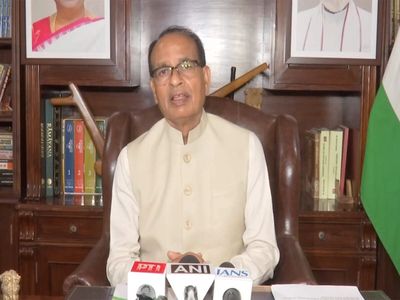 Entire J&K would have been part of India had Sardar Vallabhbhai Patel handled it: Chouhan