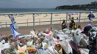 Alleged Bondi fraudster charged as gunman trial delayed