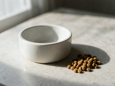 Joint problems in heavy dogs: why weight matters more than supplements