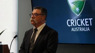 CA boss says three states to vote on BBL privatisation