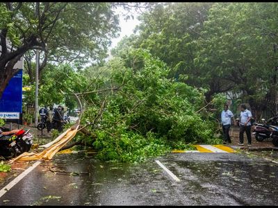 Andhra Pradesh Weather Today: Cyclone Arnab brings heavy rain, strong winds, thunderstorms; check forecast for Visakhapatnam, Kakinada and more