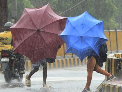 Cyclone Arnab tracker: Storm makes landfall in Andhra Pradesh with winds up to 185 kmph, thousands evacuated; airline advisory issued
