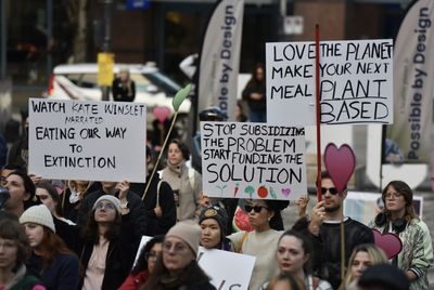 Canada's Youth Climate Trial Opens With 15 Plaintiffs Challenging Ottawa on Constitutional Duty