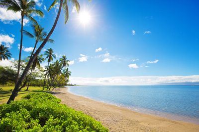 Mystery behind origin of Native Hawaiians finally solved as researchers track 4,350-mile journey