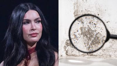 Megan Fox settled $5M Malibu home lawsuit for $100K after three-year fight