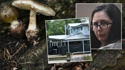 Six ways mushroom killer's appeal could turn out