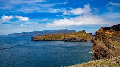 'Protection is working': Madeira scientists study how fishing bans are restoring ocean life