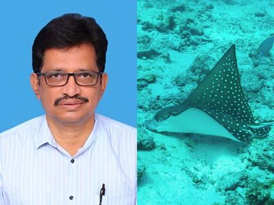 Who is Dr M. V. Ramana Murthy? An IIT Madras alumnus honoured after a new electric ray species discovered deep in the Arabian Sea has been named after him