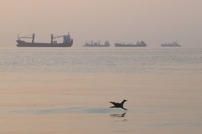 Iran says 3 oil tankers struck mines, and other Mideast news