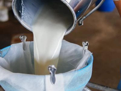 Karnataka to hike milk prices by Rs 8 per litre from November 1