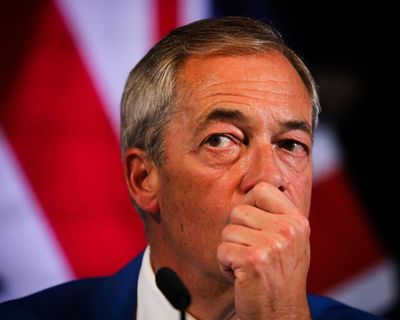 Female Lib Dem MP accuses Nigel Farage of shoving her in parliament
