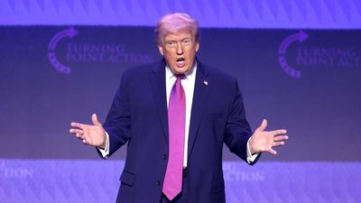 Donald Trump Hit With 25th Amendment Calls After Claiming Solar Panels Are 'Hotter Than Your Stove'