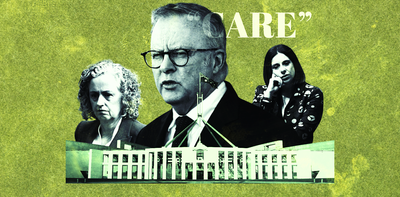 Labor came to power promising a big care agenda. Four years on, how has it fared?