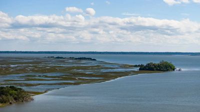University of Georgia secures $8 million NOAA grant to plan restoration of acres of salt marsh