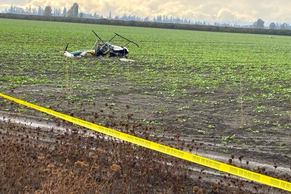 Student pilot from UK among three killed in helicopter horror crash in US