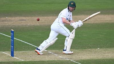 Maddinson snares a stunner but Tasmania take control