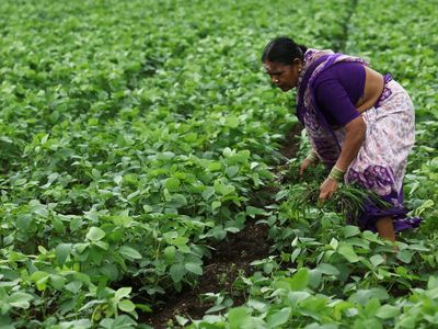PM releases Rs 3,000 crore PM-KISAN instalment to over 35.38 lakh Odisha farmers