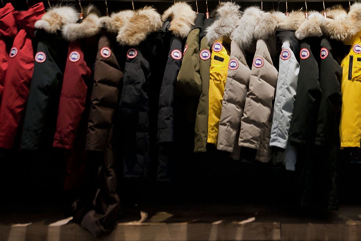 Canada goose discount dividend