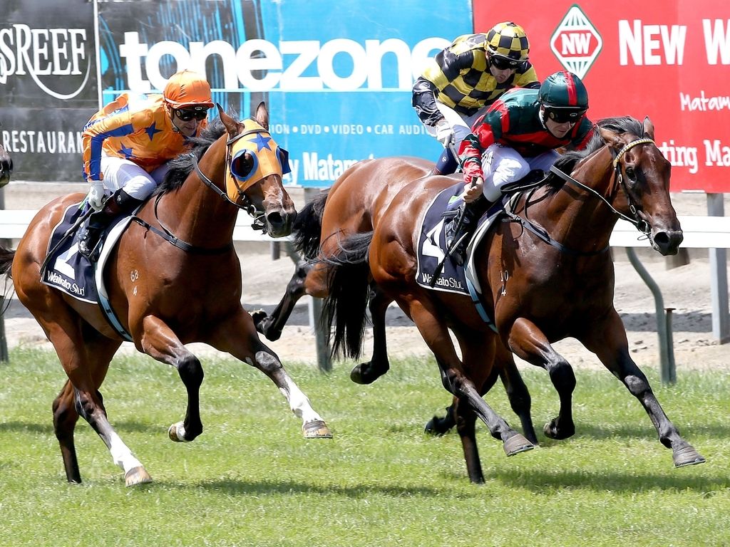 Racing: Sires' Produce at the double