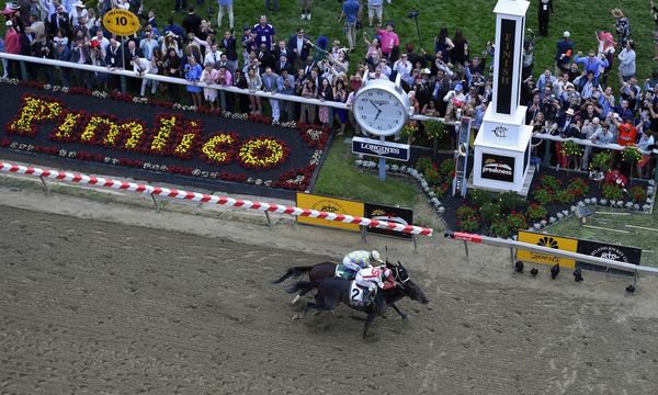 Cloud Computing springs Preakness upset as Always Dreaming fades
