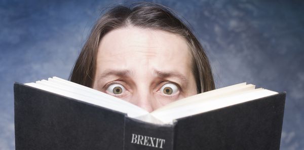 How European academics are feeling about life in Britain a year after Brexit vote