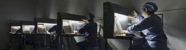 China Economic Expansion Exceeds Estimates on Factory Rebound