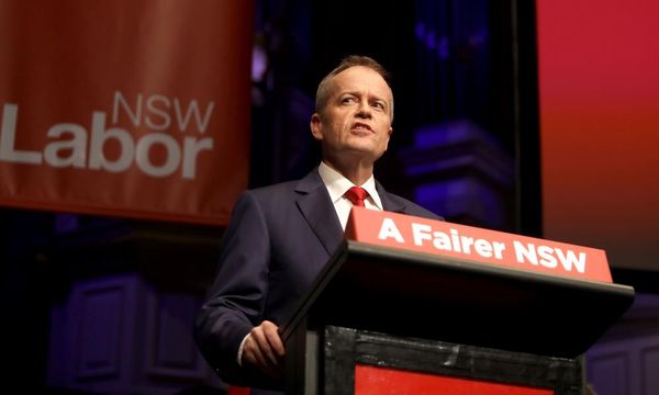 Labor’s crackdown on family trusts a ‘tax grab’, Coalition says