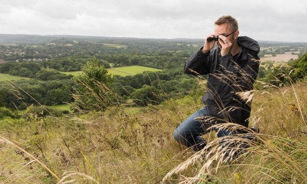 Red Admiral spotting: desperately seeking a British butterfly revival