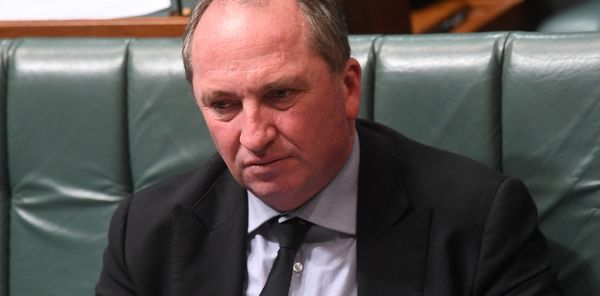 High Court to rule on whether Barnaby Joyce is a New Zealander