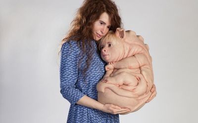 From Graham to the Skywhale: the unsettling mutations of Patricia Piccinini