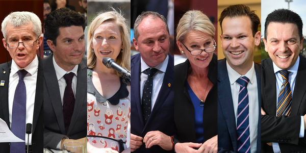 High stakes for Turnbull government as High Court hears MPs' citizenship cases