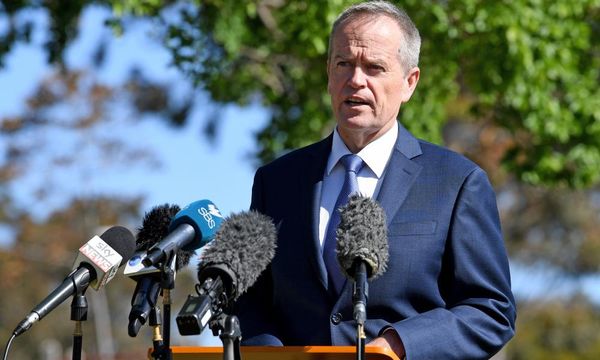 Bill Shorten calls for tougher citizenship measures after meeting with Turnbull