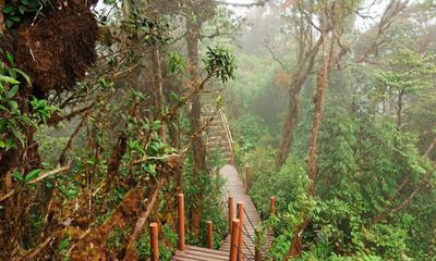 10 of the best places to visit in Malaysia: readers’ travel tips