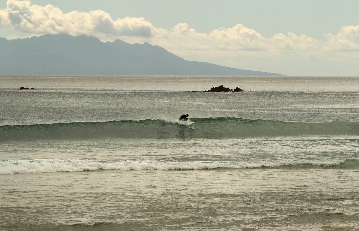 Best Beaches Te Arai surf, rare native birds and…