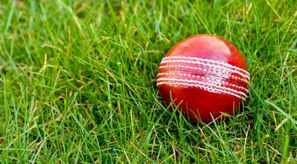 Dangerous pitch sees South Africa chase halted