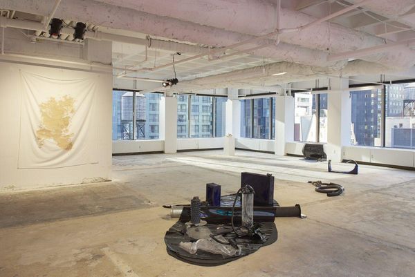 Despite An All-Female Roster Of Artists, Stray Focuses On The Art Itself
