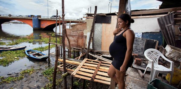Why Brazil's Zika virus requires a political treatment