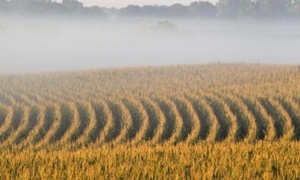 New technology helps farmers conserve fertilizer and protect their crops