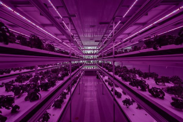To Feed 1.4 Billion, China's Top Food Company Goes Global