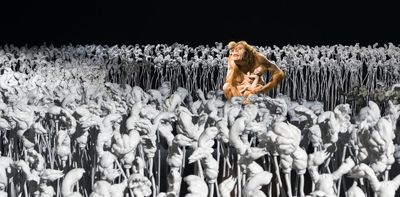 With affection and humour, Patricia Piccinini probes the boundaries of human and other