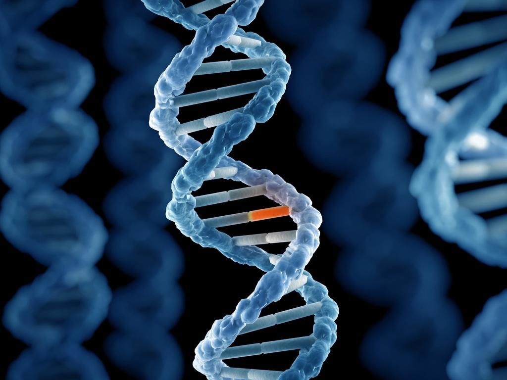 Cot death risk increased by rare genetic mutation,…