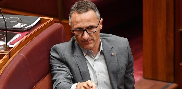 Greens urge a publicly owned 'People's Bank' as part of a big-government platform